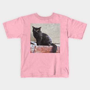 CAT LOVER AND LOVER ART Kids T-Shirt